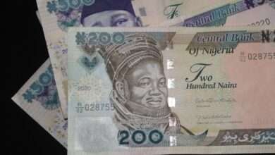 CBN will introduce new naira designs in December.