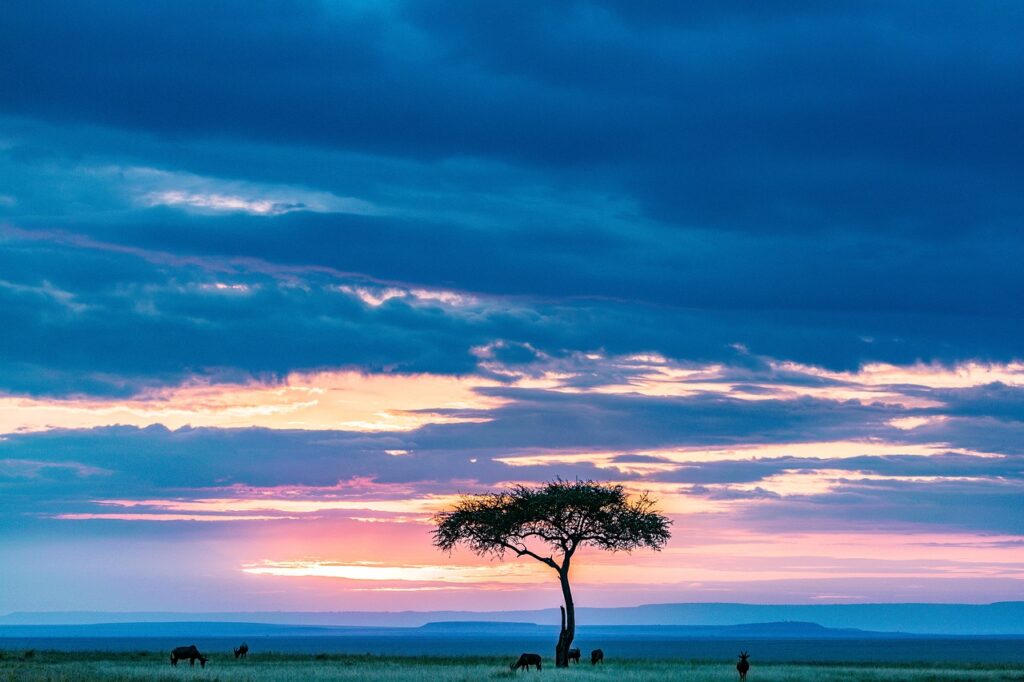 Africa: Your Ultimate Adventure Awaits